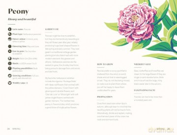 Planting for a Year of Flowers: Grow Your Garden Through the Year - Jane Moore [KSIĄŻKA]