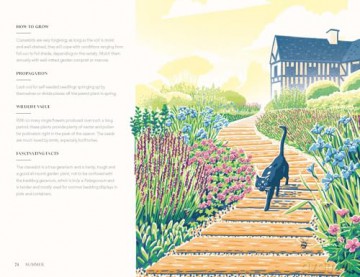 Planting for a Year of Flowers: Grow Your Garden Through the Year - Jane Moore [KSIĄŻKA]