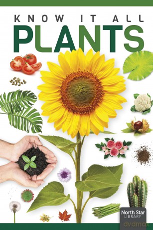 Plants - Louise Nelson [KSIĄŻKA]