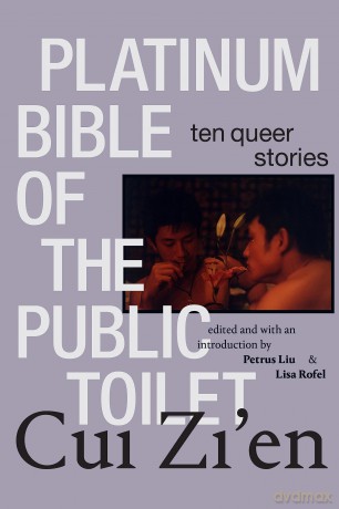 Platinum Bible of the Public Toilet: Ten Queer Stories - Zi'en Cui [KSIĄŻKA]