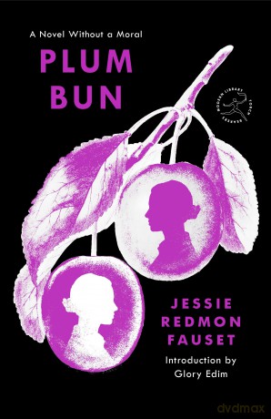 Plum Bun: A Novel Without a Moral - Jessie Redmon Fauset [KSIĄŻKA]