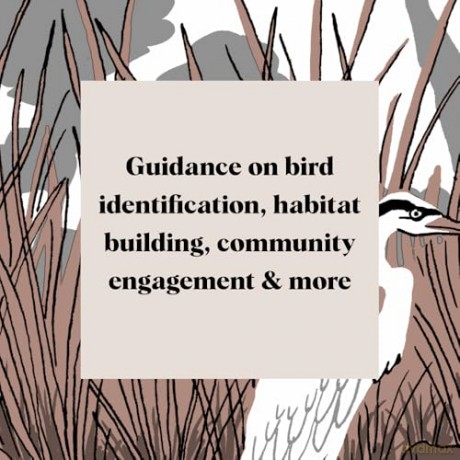 Pocket Nature: Bird-Watching: Press Pause and Admire the Avian World - Andrea Debbink [KSIĄŻKA]