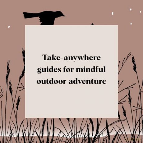 Pocket Nature: Bird-Watching: Press Pause and Admire the Avian World - Andrea Debbink [KSIĄŻKA]