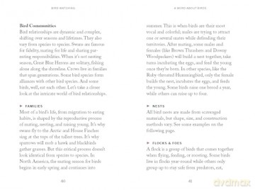 Pocket Nature: Bird-Watching: Press Pause and Admire the Avian World - Andrea Debbink [KSIĄŻKA]