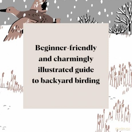 Pocket Nature: Bird-Watching: Press Pause and Admire the Avian World - Andrea Debbink [KSIĄŻKA]