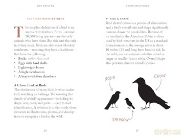 Pocket Nature: Bird-Watching: Press Pause and Admire the Avian World - Andrea Debbink [KSIĄŻKA]