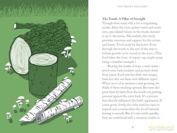Pocket Nature: Tree Hugging: Seek Wisdom in the Forest - Emily Han [KSIĄŻKA]