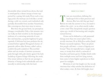 Pocket Nature: Tree Hugging: Seek Wisdom in the Forest - Emily Han [KSIĄŻKA]