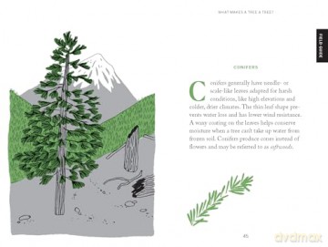 Pocket Nature: Tree Hugging: Seek Wisdom in the Forest - Emily Han [KSIĄŻKA]