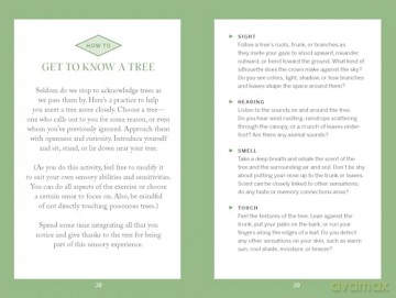 Pocket Nature: Tree Hugging: Seek Wisdom in the Forest - Emily Han [KSIĄŻKA]