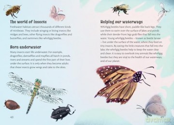 Poems for our Planet: Fluency 15 - Inbali Iserles [KSIĄŻKA]