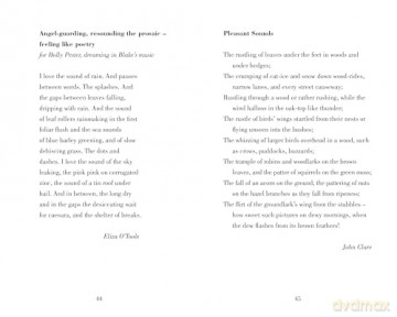 Poetry Prescription: Joy: 6 - Deborah Alma [KSIĄŻKA]