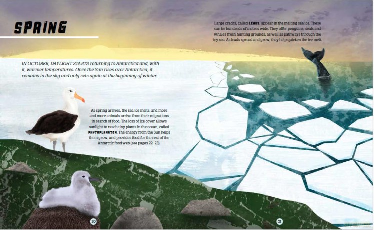 Poles Apart: Exploring Antarctica: Book 1 - Franklin Watts [KSIĄŻKA]
