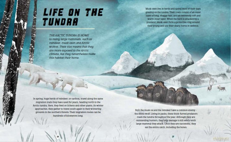 Poles Apart: Exploring the Arctic: Book 2 - Franklin Watts [KSIĄŻKA]