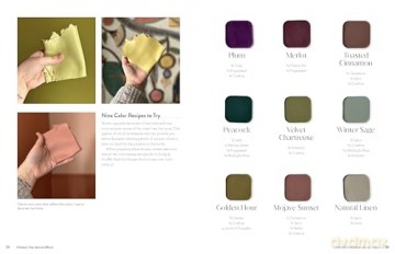 Polymer Clay Special Effects: A Beginner's Guide to Creating Unique Surface Designs and Beautiful Jewelry - Lauren Wallace [KSIĄŻKA]