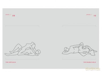 Position of the Day Revised and Updated: Sex Every Day in Every Way - Chronicle Books [KSIĄŻKA]