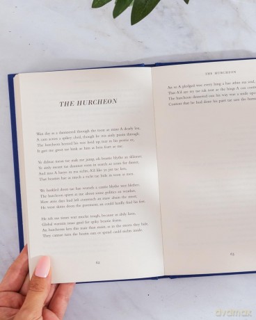 poyums annaw: The Instant Sunday Times Bestseller - Len Pennie [KSIĄŻKA]