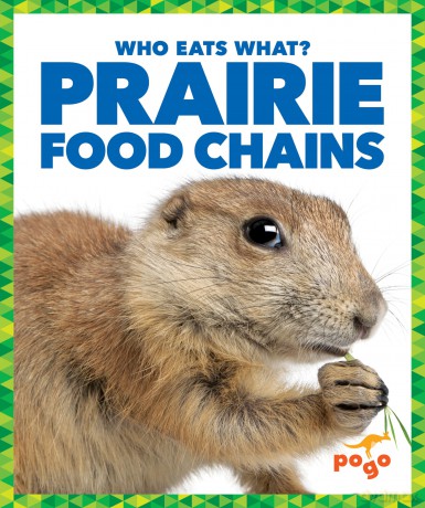 Prairie Food Chains - Rebecca Pettiford [KSIĄŻKA]