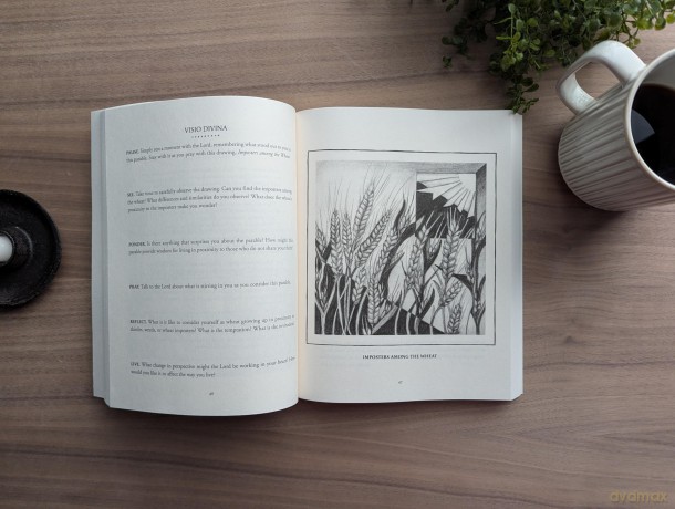 Praying the Parables of Jesus: A 40-Day Devotional Journey in Word and Image - Steve A. Macchia [KSIĄŻKA]