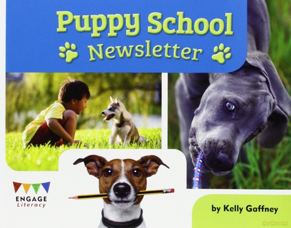 Puppy School Newsletter - Kelly Gaffney [KSIĄŻKA]