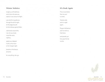 Quietly Wild: Poems, Photographs, and Rituals to Mark the Seasons - Alix Klingenberg [KSIĄŻKA]