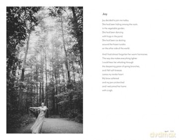 Quietly Wild: Poems, Photographs, and Rituals to Mark the Seasons - Alix Klingenberg [KSIĄŻKA]