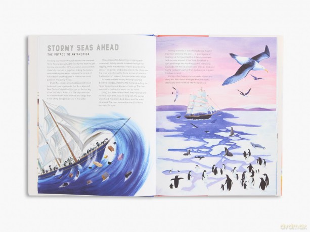 Race to the South Pole: A two-sided story - Alexandra Stewart [KSIĄŻKA]