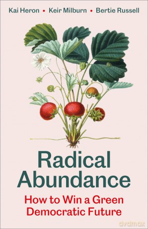 Radical Abundance: How to Win a Green Democratic Future - Kai Heron [KSIĄŻKA]