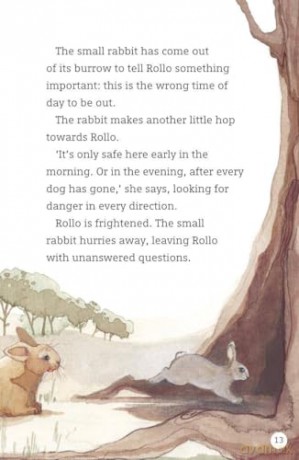 Readerful Level 13 Rollo's Choice - Clare Weze [KSIĄŻKA]