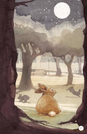 Readerful Level 13 Rollo's Choice - Clare Weze [KSIĄŻKA]