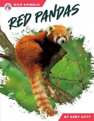 Red Pandas - Abby Doty [KSIĄŻKA]