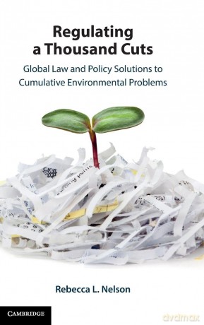 Regulating a Thousand Cuts: Global Law and Policy Solutions to Cumulative Environmental Problems - Rebecca Nelson [KSIĄŻKA]