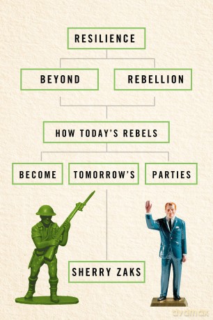 Resilience beyond Rebellion: How Today's Rebels Become Tomorrow's Parties - Sherry Zaks [KSIĄŻKA]