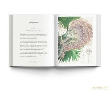 RHS Botanical Illustration: The Gold Medal Winners - Charlotte Brooks [KSIĄŻKA]