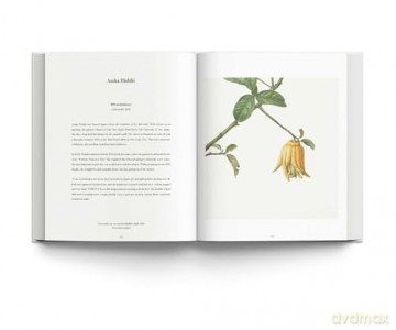 RHS Botanical Illustration: The Gold Medal Winners - Charlotte Brooks [KSIĄŻKA]