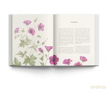 RHS Botanical Illustration: The Gold Medal Winners - Charlotte Brooks [KSIĄŻKA]