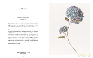 RHS Botanical Illustration: The Gold Medal Winners - Charlotte Brooks [KSIĄŻKA]