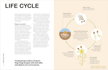 RHS Fungi for Gardeners: Know Your Garden Fungi and How to Grow Them - DK [KSIĄŻKA]