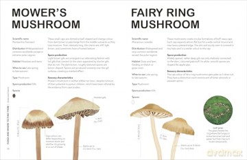 RHS Fungi for Gardeners: Know Your Garden Fungi and How to Grow Them - DK [KSIĄŻKA]