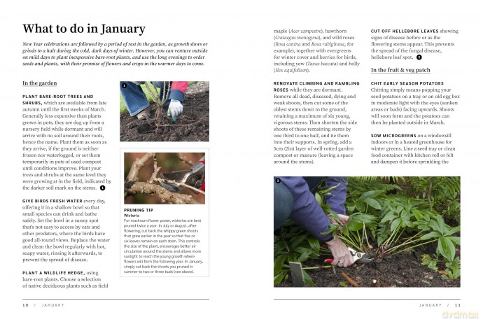 RHS The Garden Almanac 2026: The month-by-month guide to your best ever gardening year - Royal Horticultural Society [KSIĄŻKA]
