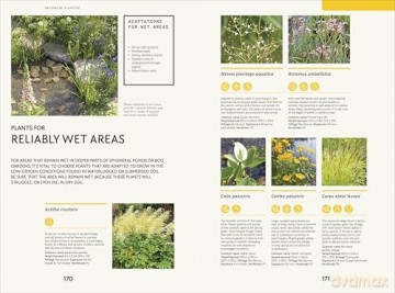 RHS Waterwise Garden: Sustain Your Garden Through Drought and Flood - Tom Massey [KSIĄŻKA]