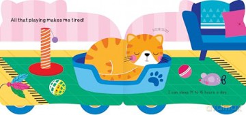 Rolling Pals: Matt the Cat: An Interactive Board Book for Toddlers with Wheels - duopress [KSIĄŻKA]