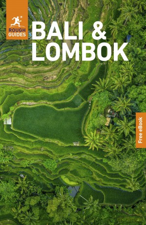 Rough Guides Bali and Lombok: Travel Guide with eBook - Rough Guides [KSIĄŻKA]