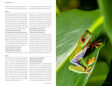 Rough Guides Costa Rica: Travel Guide with eBook - Rough Guides [KSIĄŻKA]