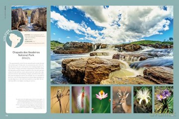 Rough Guides Wild Earth: Discover the World's Wildest Places - Rough Guides [KSIĄŻKA]