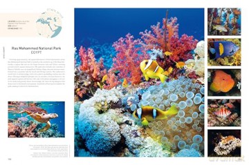 Rough Guides Wild Earth: Discover the World's Wildest Places - Rough Guides [KSIĄŻKA]