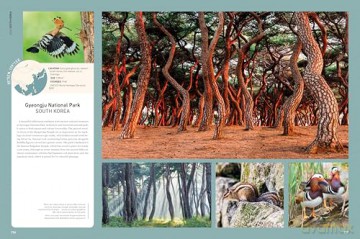 Rough Guides Wild Earth: Discover the World's Wildest Places - Rough Guides [KSIĄŻKA]