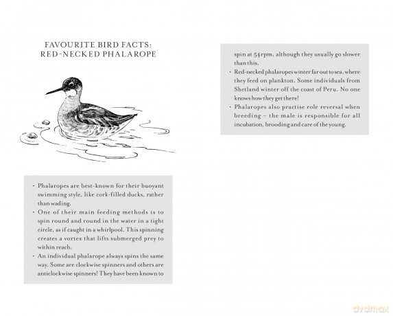 RSPB A Little Bird Told Me: A collection of fascinating facts about birds - RSPB [KSIĄŻKA]