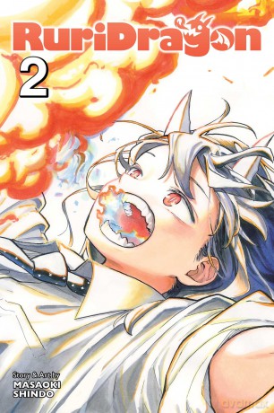 RuriDragon, Vol. 2: Volume 2 - Masaoki Shindo [KSIĄŻKA]