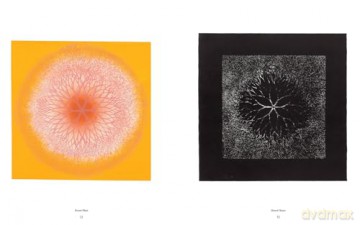 Ruth Asawa: The Tamarind Prints - Cara Manes [KSIĄŻKA]